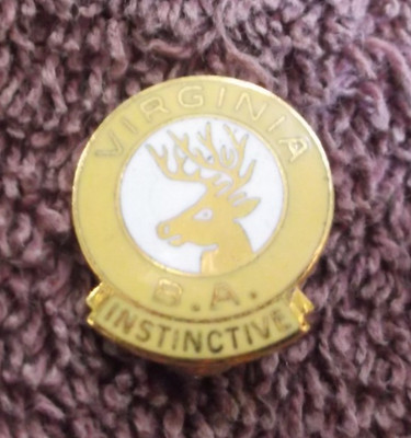Vintage Virginia Elks Club Lapel Pin - Virginia Benevolent Protective Order