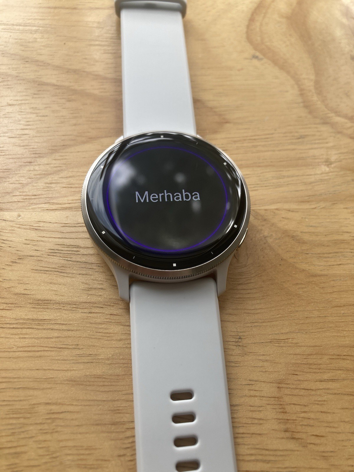 Garmin Venu 3 Silver Stainless Steel GPS Smartwatch with Whitestone Band Fast Shipping-image