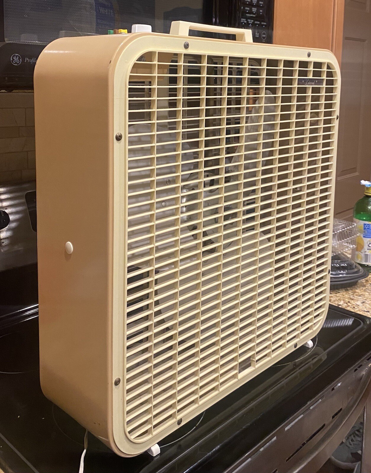 Vintage Lakewood 3 Speed Thermo Control Box Fan Metal Blades Bisque