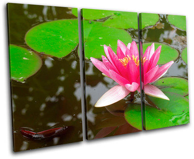 Water Lily Flowers Floral TREBLE Leinwand Wand Kunst Bild drucken