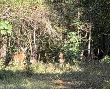 SONAR BR-21 HAM RADIO EQUIPMENT