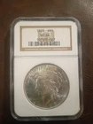 1923 US MS 64 PEACE DOLLAR NGC GRADED