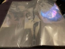 Clear LP Record Sleeves 30 Pack 12.75 Inch 4 Mil Vinyl Album Protector Covers