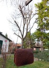 Bild 11 von 19