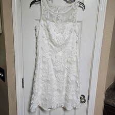 ADRIANNA PAPELL 3D Embroidery Floral Lace Fit & Flare Midi Dress Sz 4