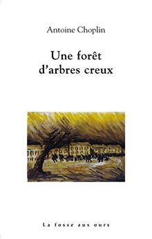 Foret dArbres Creux (une) von Choplin Antoine | Buch | Zustand gut