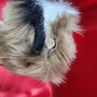 Bild 4 von 16