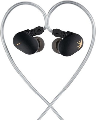 Advanced Wireless-Free In-Ear Monitors with Replaceable Filters for Pure Sound