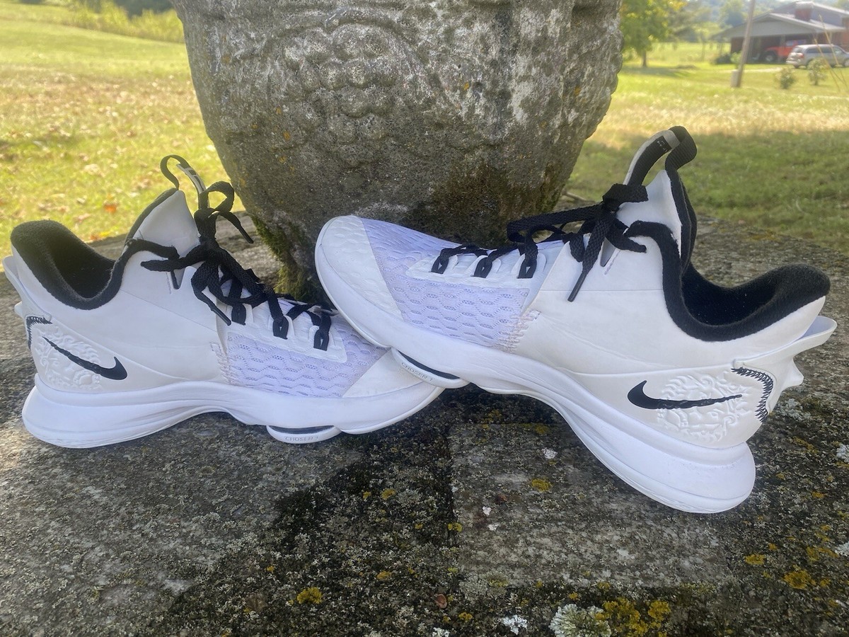 Nike Mens Lebron Witness 5 CQ9380-101 White Basketball Shoes