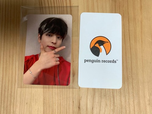 STRAY KIDS - NOEASY FRAME PHOTO CARD POP-UP CARD MINI PHOTO BOOK PHOTO CARD SET - Picture 55 of 66