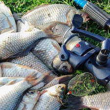  10 Pcs Fishing Feeder Holder Bait Basket Thrower Device Gear Cage