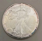 2007 American Silver Eagle $1