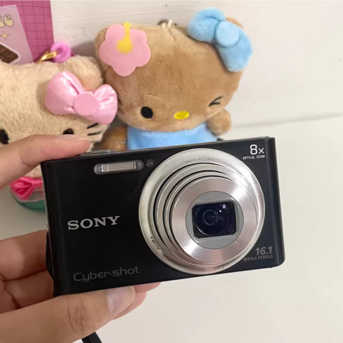 Sony Cyber-shot DSC-W730 16.1MP Digital Camera - Blue for sale