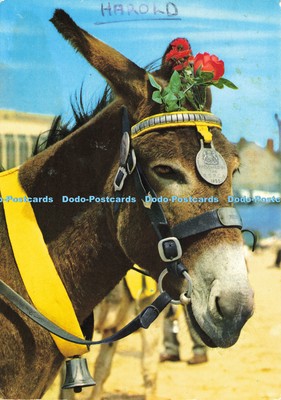 D198190 Esel Harold John Hinde E Ludwig 1981
