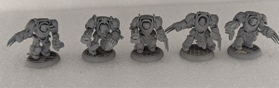 Warhammer 40k: Space Marine Space Wolves Terminatoren Wolfsgarde