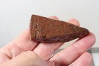 Morocco Kerrouchen Seam Agate 10.5 oz lapidary faced rough Lot C1 — photo 4