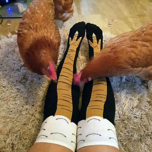 Chicken Leg Socks Funny Chicken Leg Stocking for Halloween Xmas (Short) - Picture 5 of 11