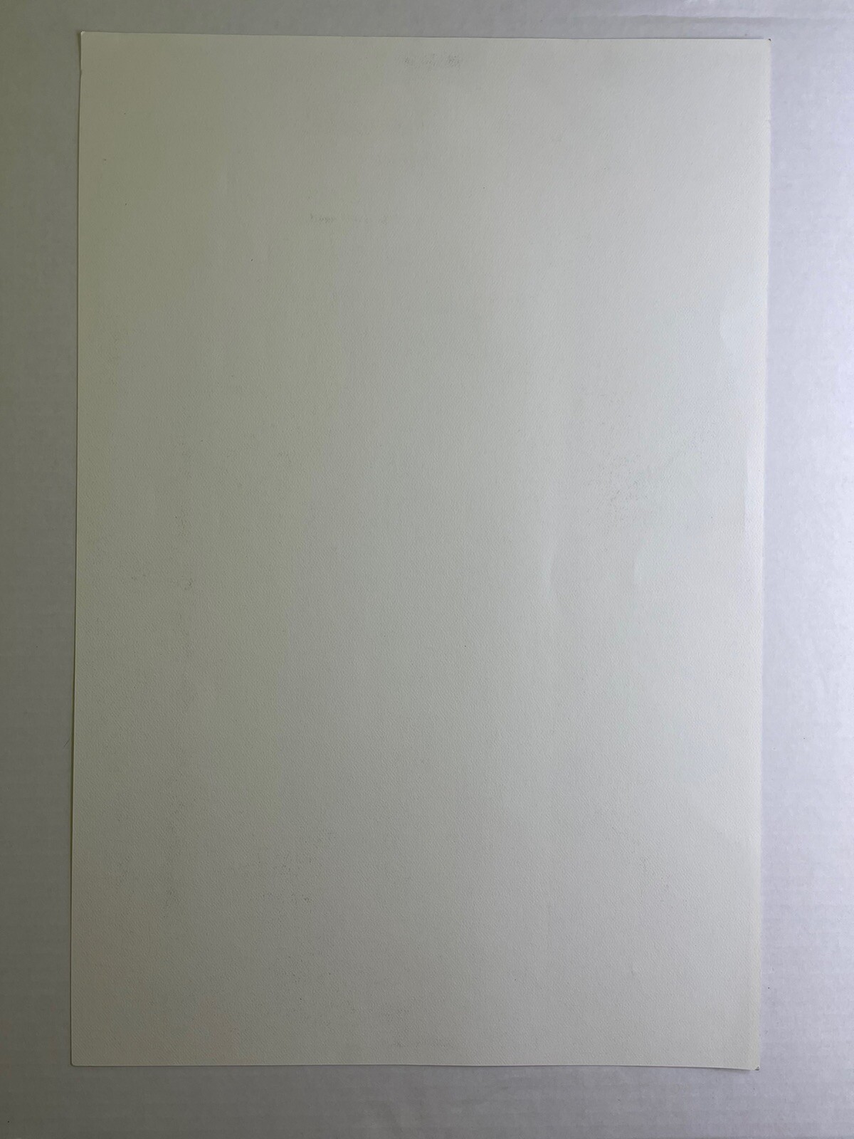 Picture 4 of 12