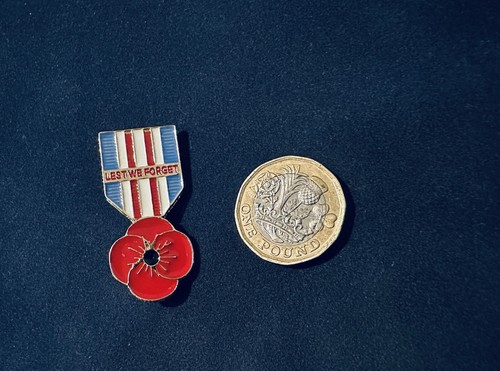 UK GB Red Poppies Pin Enamel Badge BROOCH Veteran Soldier Lest We Forget - Picture 2 of 3
