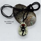 Red Bean Black Scorpion Pendant Necklace Glow in Resin Specimen Collection