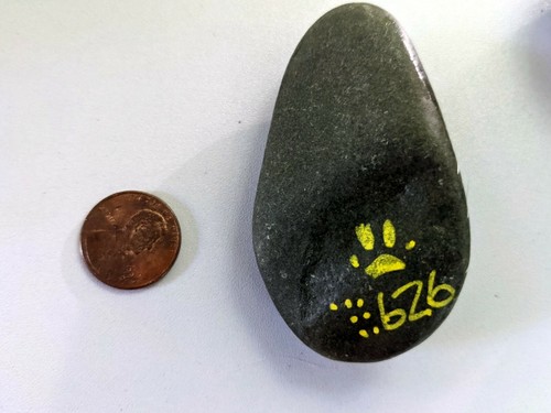 ARTE DE PIEDRA DE RÍO PINTADO A MANO Gnomo por Pata Amarilla Rocas Coleccionables - Imagen 3 de 4