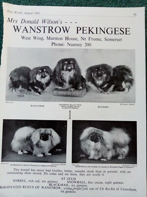 Hs4 Ephemera 1961 advert dog kennels Mrs Donald Wilson Marston