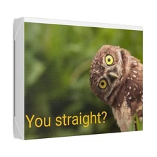 "Whoo" Classic Stretched Canvas