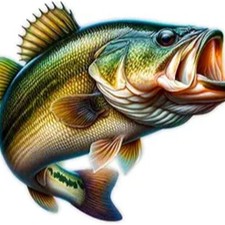 Fish Decal Sticker for Car or Truck Windows Plus Laptops, Tumblers and Water Bot