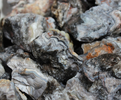Tuxedo Lace Agate - Rough Rocks for Tumbling - Bulk Wholesale Options