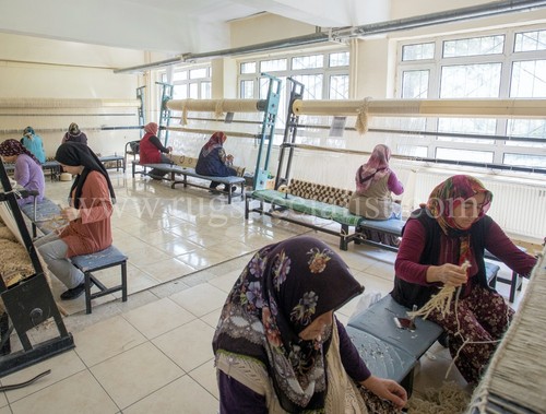 New Plain Beige Hand-Knotted Anatolian Tulu Rug, 100% Natural Un-Dyed Wool - Picture 6 of 6