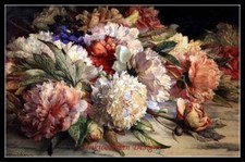 Peonies 2 - Counted Cross Stitch Patterns - Color  BW Symbols