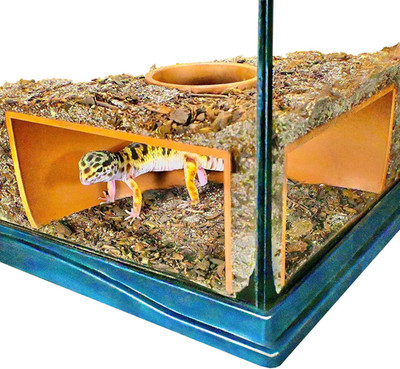 Reptile Corner Underground Cave Viewing Hide | Hognose Snake, Corn Snake & Leopa