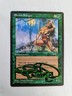 MTG ALLIANCES Elvish Ranger SHADOW SIGNED BY TERESE NIELSEN