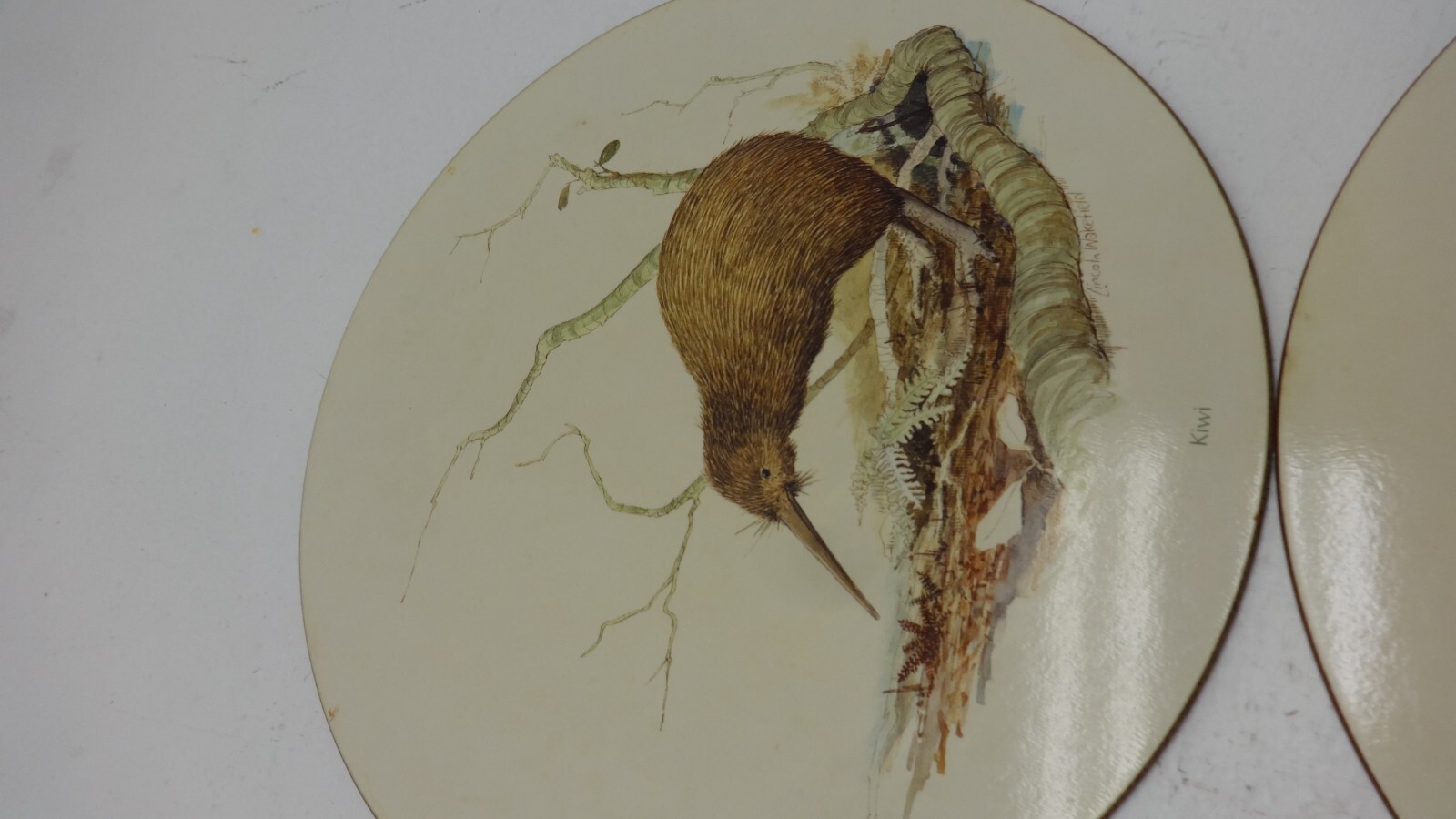 Jason New Zealand Birds Round Placemats Lot of 6 Original Box Cork Back eBay