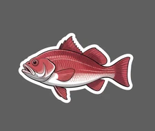 Red Drum Sticker Fish Outdoor Ocean Wildlife Nature Gift Waterproof NEW