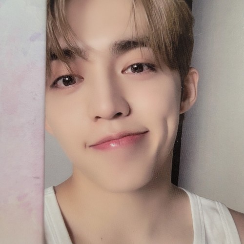 SEVENTEEN BEST ALBUM ' 17 IS RIGHT HERE ' DEAR ver. 52 Random Photo card - Picture 17 of 178