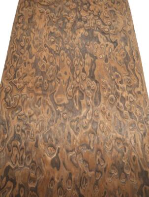 Claro Nussbaum Wurzelholz Furnier SaRaiFo 250x64cm x 0,5mm
