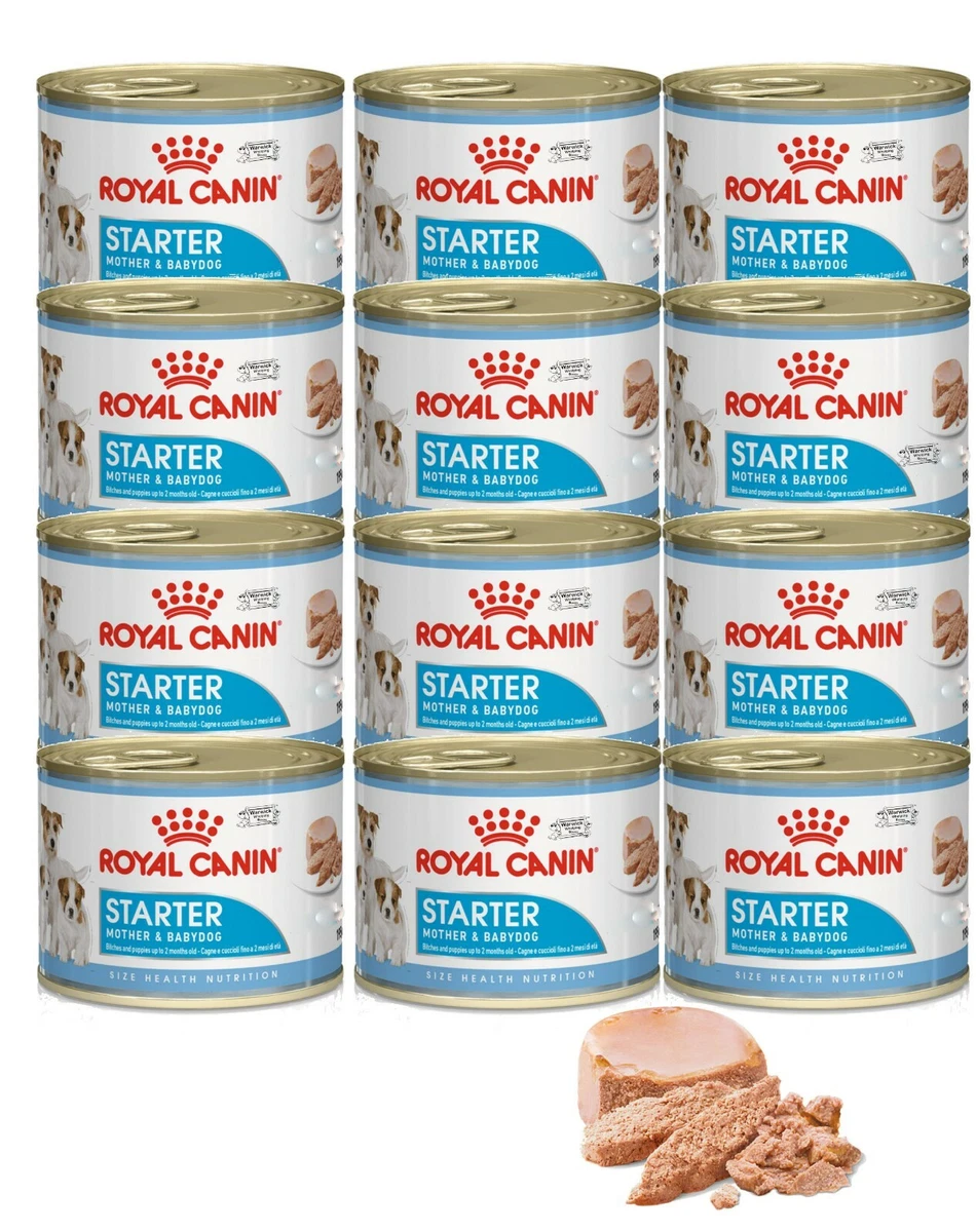 Starter mousse mother and baby dog cheap
