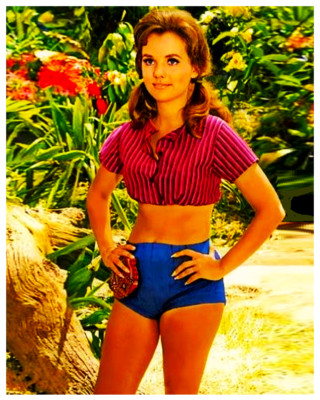 DAWN WELLS - MARY ANN - GILLIGANS ISLAND - 8"X10" PHOTOGRAPH eBay