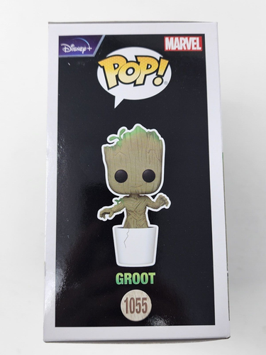 Funko Pop! Marvel/Disney I Am Groot Collector Corps Box XS Size Shirt Brand New - Picture 8 of 15