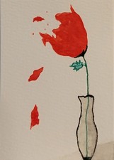  on The Hot Collector