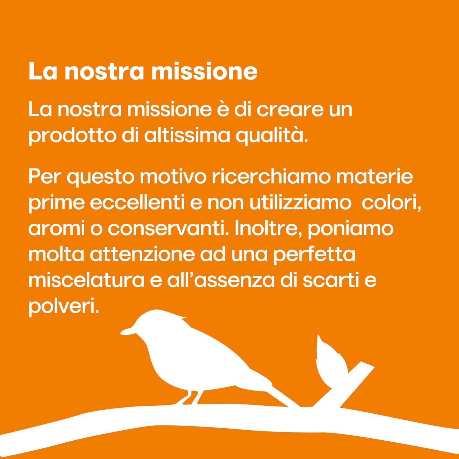 Foto 7 di 24
