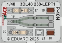 Eduard Accessories 3DL48238 - 1:48 P-40N Space Eduard - Neu