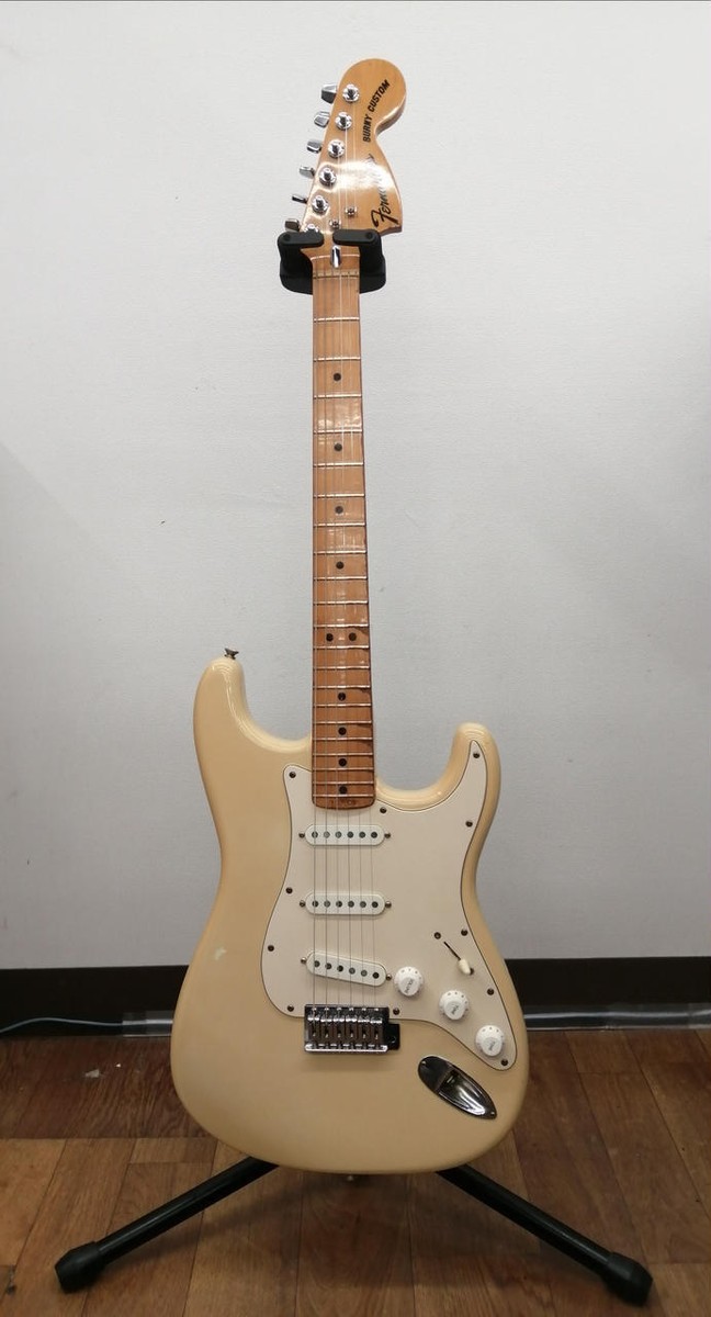 FERNANDES / BURNY CUSTOM FST SERIES | eBay