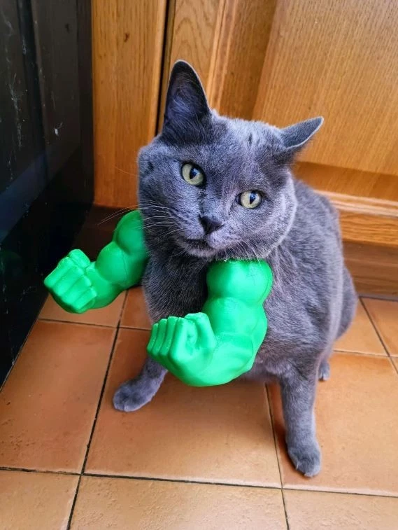 Brazos de Hulk para Gato - Divertido Accesorio para Disfraz de Mascota, Músculos Foto 4 de 4