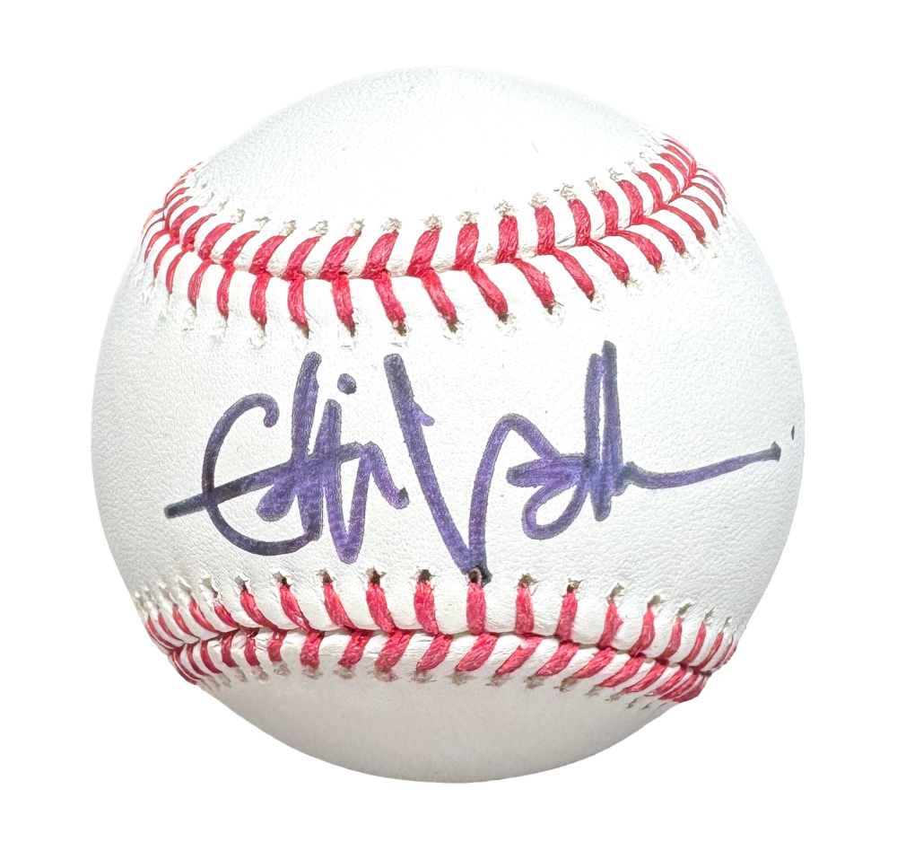 新品 レア Pearl Jam Eddie Vedder Baseball Eddie Vedder Pearl Jam Signed Autograph OMLB Baseball Ball