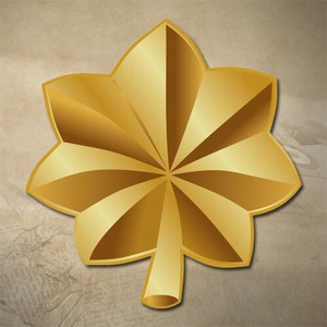 air force major insignia