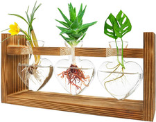 Plant Terrarium with Wooden Stand, Plant Propagation Stations with Heart Vase, K