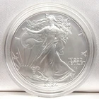 2024 American Silver Eagle With Original US Mint Hard Case