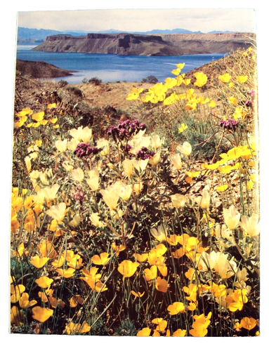 Lake Mead-Hoover Dam : The Story Behind the Scenery by James C. Maxon, 1981 - Picture 2 of 8
